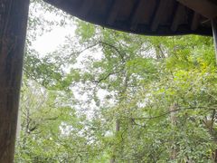 -灵隐飞来峰景区
