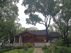 -上海市保健医疗中心