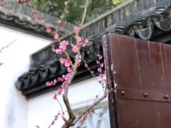 -上海醉白池公园