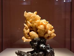 -福建省非物质文化遗产博览苑