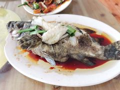 -田源农家饭店·窑鸡王·海鲜(东部湾·融创店)