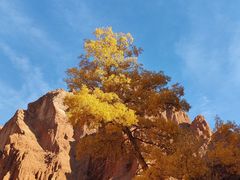 -天山神秘大峡谷