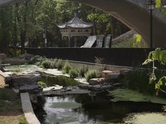 -白水寺森林公园