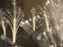 -0048鲜活香辣虾·火锅(铜陵路店)