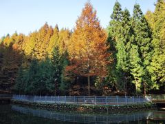 -山王坪喀斯特国家生态公园