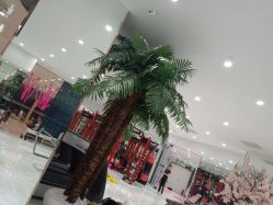 -葆姿普拉提·瑜伽