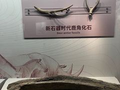 -淮安市博物馆
