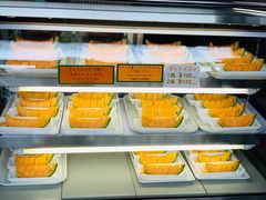 -富田农场
