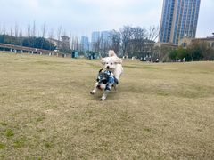-府河摄影公园