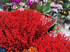 -循礼门鲜花花市(武汉循礼门店)