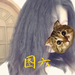 -SIX Hair Consultant