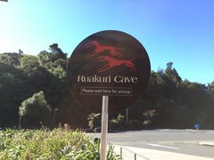 -怀托摩萤火虫洞