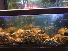 -苏福记·海鲜佬(凤城四路店)