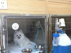 -惠康宠物医院(华能路店)