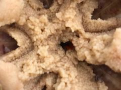 -海胆小馆(东北水饺·春柳店)