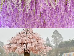 -盈香心动乐园