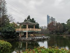 -晓港公园