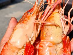 -蟹村草堂·苏式园林人文农家·大闸蟹