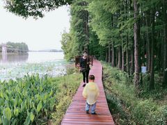 -东湖落雁景区