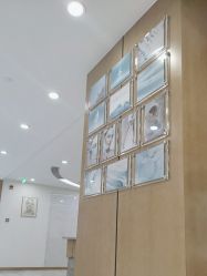 -智美品质医美