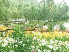 -长春公园(普阳街道)