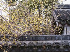 -无锡梅园公园