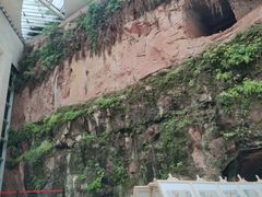 -乐山市博物馆