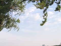 -长春市南湖公园