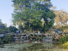 -东莞植物园