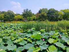 -美兰湖景区