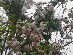 -柳侯公园
