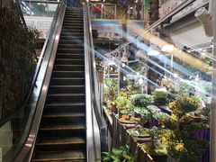-双季花艺园艺市场(浦东店)