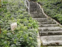 -炮台山公园