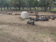 -西安秦岭野生动物园