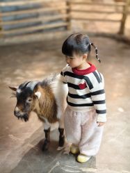 -Zoolung Zoolung动物主题公园(海信广场店)