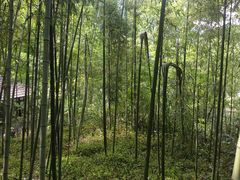 -藏龙百瀑风景区