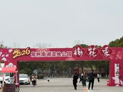 -南湖湿地公园