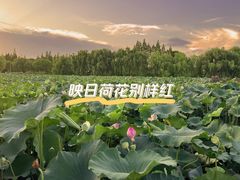 -嘉北郊野公园