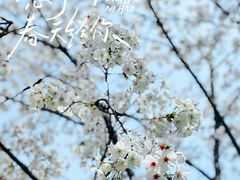 -华山263老字号品牌馆