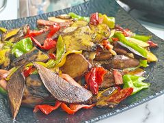 -蘑统田下·野生菌火锅