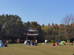 -东湖落雁景区