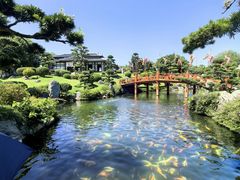 -芽庄珍珠岛游乐园