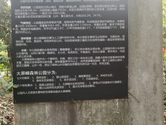 -大屏嶂森林公园