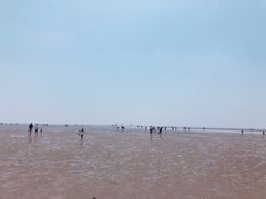 -碧海金沙