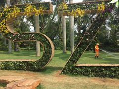 -深圳仙湖植物园-停车场