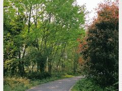 -桤木河湿地公园