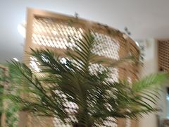 -相椰·椰子鸡(元芬店)