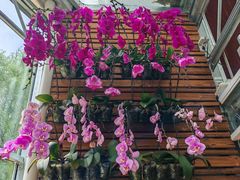 -国家植物园南园