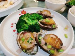 -桃园盛宴·岭南粤菜·手工茶点(南庄店)