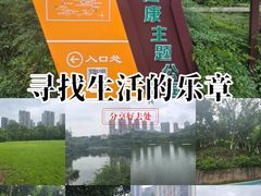 -重庆彩云湖湿地公园